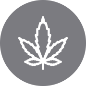 Sealing of Drug Convictions